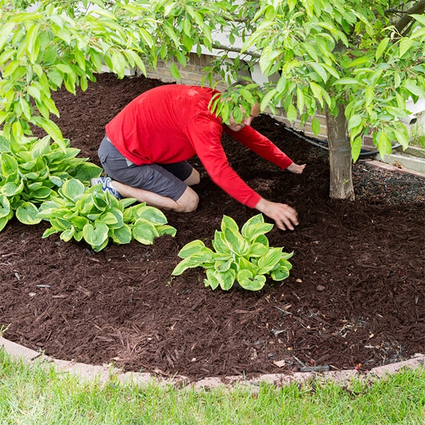 we can assist with mulch selection and provide advice on the best type for your specific landscaping needs